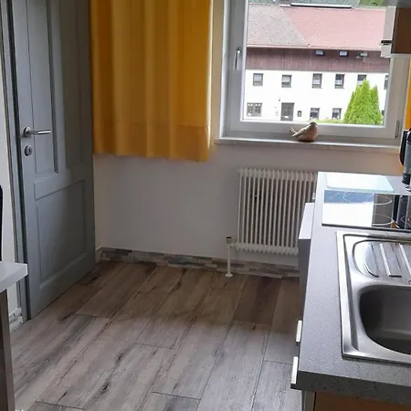 Apartamento Haus Fini Längenfeld Exterior foto