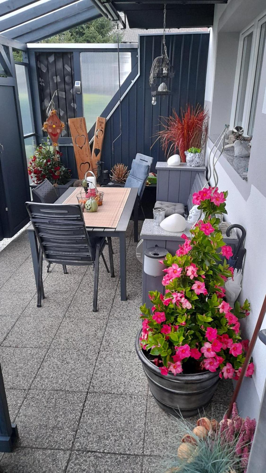 Haus Fini Apartment