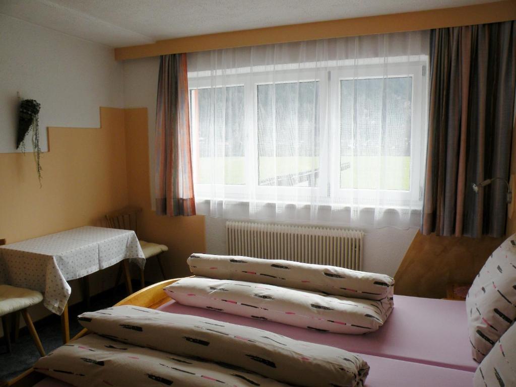 Haus Fini Apartment